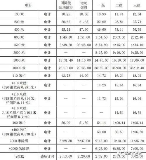 体育赛事等级,设计策略快速解答_整版DKJ656.74