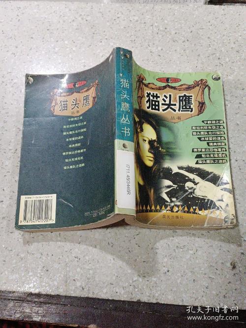 猫头鹰与小飞象,设计策略快速解答_整版DKJ656.74