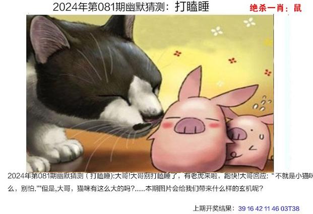 2024年新澳门王中王资料,设计策略快速解答_整版DKJ656.74