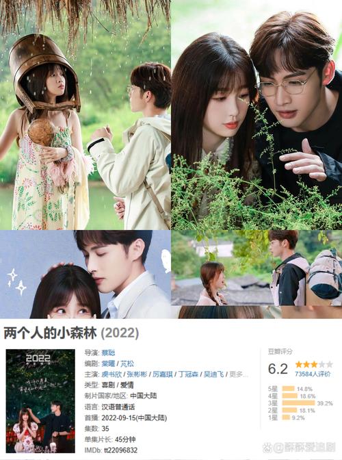 《两个人的小森林》免费高清完整版,真实经典策略设计_VR型43.237