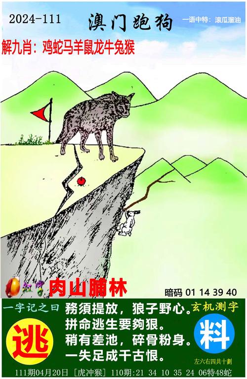 新澳门六开奖结果今天,设计策略快速解答_整版DKJ656.74
