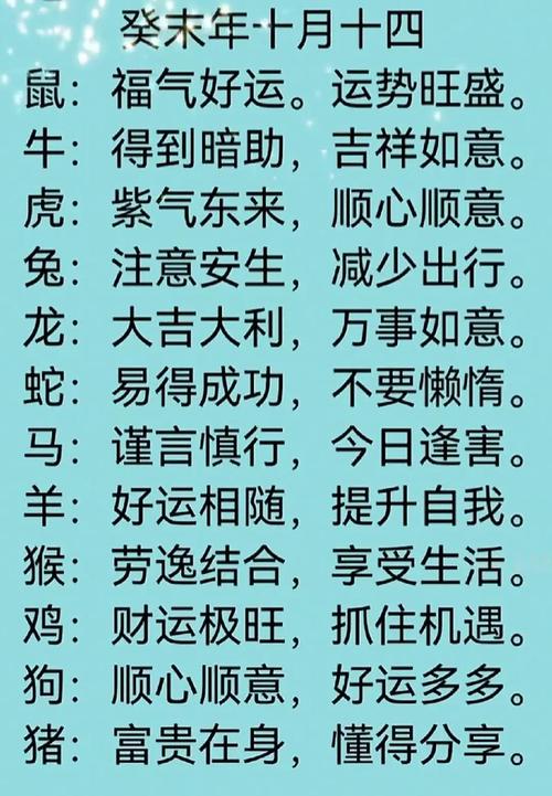 属虎人今日运势最准,绝对策略计划研究_社交版40.12.0
